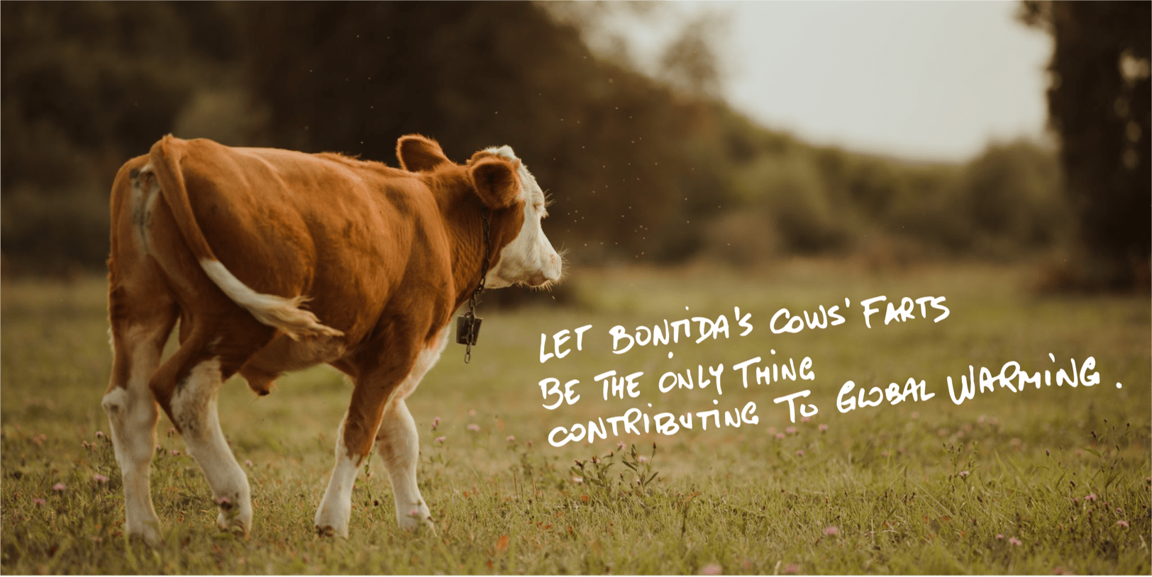 Let Bontida’s cows' farts be the only thing contributing to global warming
