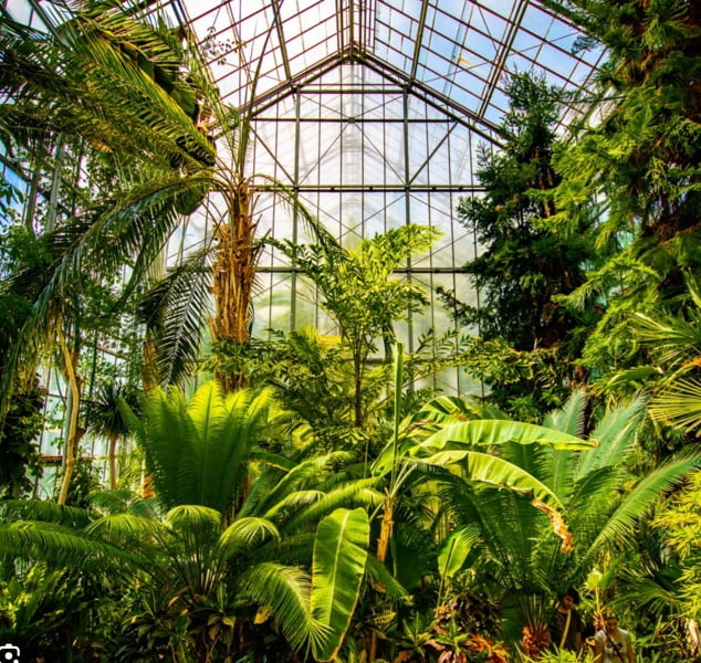 botanical-garden